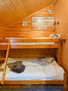 Gallery image of Charming Cabin With A Modern Touch At Fagerfjell in Flesberg
