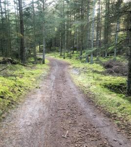Gallery image of Forest Cabin With Panoramic View Near Blokhus in Blokhus