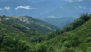 a view of auliculiculiculiculiculiculiculiculiculiculiculic at Madhuchuli Homestay in Darjeeling