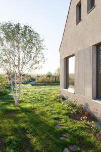 a tree in the grass next to a building at Architectural Gem On The Cornfield in Lindenhagen