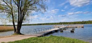 a wooden dock in the middle of a lake at Apartament nad Jeziorem Necko in Augustów