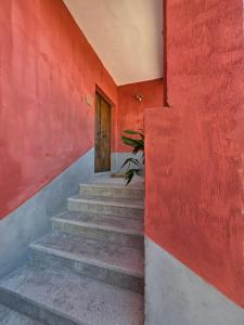 Fotografie z fotogalerie ubytování Tenuta degli Ulivi - Dimora Contadina v destinaci Montecorvino Rovella