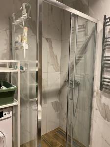 a shower with a glass door in a bathroom at Titova Vila - Golden Peak Residence in Zlatibor