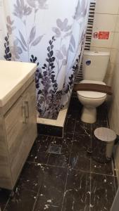 ein Badezimmer mit Toilette und Duschvorhang in der Unterkunft Anastelia Apartments - 2 in Olympiada