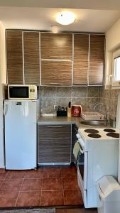 Η κουζίνα ή μικρή κουζίνα στο Sofia