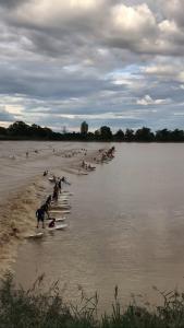 Permandangan sungai dekat dengan apartmen +3 gambar