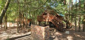 a tree house in the middle of a forest at Plett Forest Cabins in Plettenberg Bay