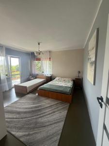 a bedroom with two beds and a rug at FALEZA Dębina in Debina