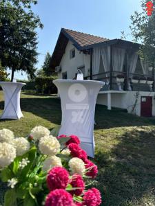 Un bouquet de fleurs devant une maison dans l'établissement Vikendica Sarah, à Tuzla