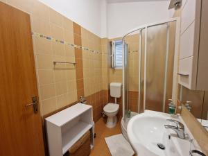 une salle de bain avec un lavabo et des toilettes dans l'établissement Blue Horizon - 400m from the Sea!, à Dramalj