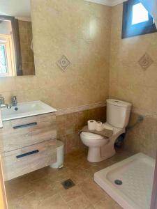 a bathroom with a toilet and a sink and a tub at APARMENTS Elina in Potamiá