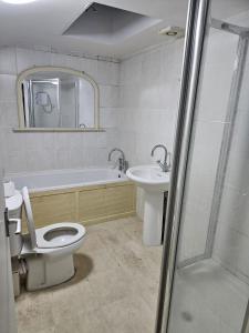 une salle de bain avec toilettes, lavabo et douche dans l'établissement Grimsby Central Luxury 2 Bedrooms, Pelham 1, à Great Coates