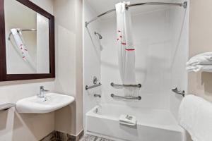 Ванная комната в Red Roof Inn Phoenix North - I-17 at Bell Rd