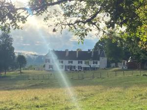 Příroda nedaleko vily