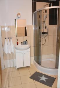 a bathroom with a sink and a shower at Apartamenty Głowackiego in Sosnowiec +56 photos