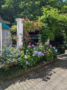 Giardino di Hotel Captain