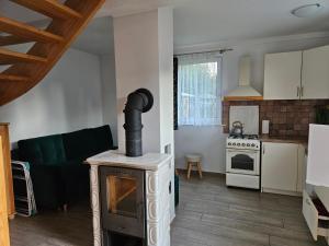 a living room with a wood stove in a kitchen at Chata nad Rzeką in Lipusz +31 photos