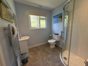 a bathroom with a shower and a toilet and a sink at Ocean Waves - Mount Brioni in Downderry +16 photos