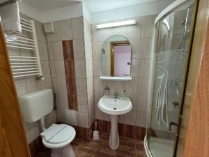 a bathroom with a sink and a toilet and a mirror at Vila Ilinca in Agigea