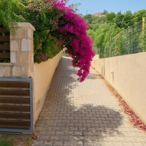 Φωτογραφία από το άλμπουμ του Stella's Seaview Getaway - 100m to Theologos Beach στον Θεολόγο