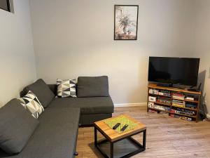 salon z kanapą i telewizorem z płaskim ekranem w obiekcie Uroczy apartament w kurorcie w Kudowie Zdroju