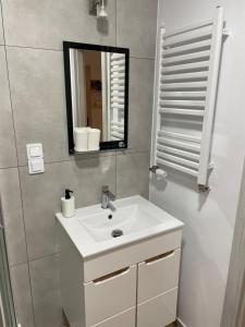łazienka z białą umywalką i lustrem w obiekcie Uroczy apartament w kurorcie w Kudowie Zdroju