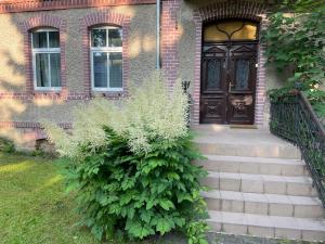 Vonkajšia záhrada v ubytovaní Zaciszny Apartament w Zdroju