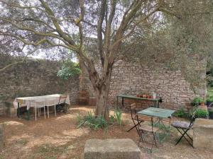 a picnic table and a tree in front of a stone wall at Gîtes de l'Estagnol in Villeneuve-lès-Maguelonne