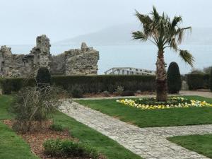 Una palmera en un macizo de flores frente a un castillo. en The Seagulls Perch, en Weymouth