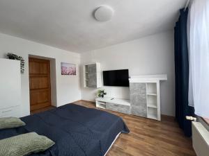 a bedroom with a bed and a flat screen tv at Apartmán 1 jar-leto in Martin