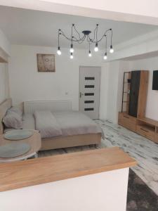 克拉约瓦The Secret Studios 2的一间卧室配有床、沙发和灯。