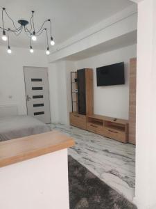 克拉约瓦The Secret Studios 2的一间卧室，墙上有一张床和一台电视 更多2张照片