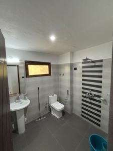 a bathroom with a toilet and a sink at BARCHA Guest house in Leh +31 photos
