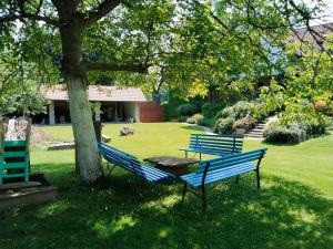 two blue benches sitting under a tree in a yard at Penzion Farma Dolík in Havlíčkŭv Brod