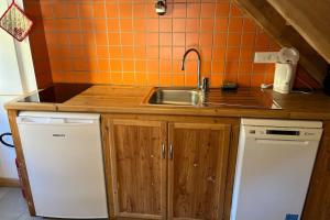 a small kitchen with a sink and a dishwasher at Au Vialaou - Chez Marcelle in Névache