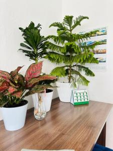 Gallery image of Ainazik guest house in Toktogul