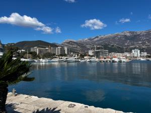 a view of a harbor with boats in the water at NEWBORN Hostel Budva in Budva