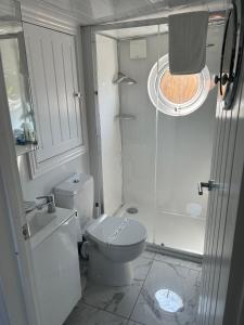 a white bathroom with a toilet and a shower at 2 Bedroom Chalet With Sea Views in Plymouth +31 photos