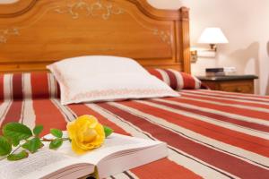 Postel nebo postele na pokoji v ubytování Hotel Rosa