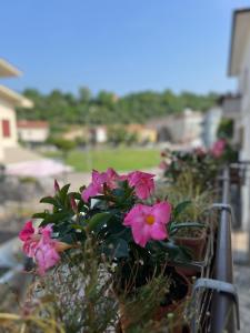 Fotografie z fotogalerie ubytování Cecia's House v destinaci Bassano del Grappa