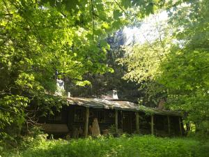 an old house in the middle of a forest at Das wilde Auwaldhaus in Bertsdorf