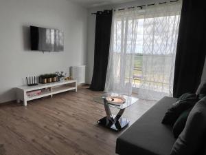 un soggiorno con un divano e una grande finestra di Apartament Aquatower a Reda