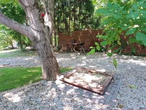 a tree in a brick box next to a tree at Dóra Apartman in Balatonszárszó