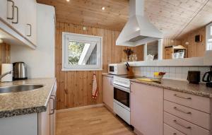 Η κουζίνα ή μικρή κουζίνα στο Stunning Home In Strandby With Wifi