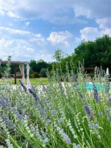 a garden with purple and white flowers and a gazebo at Maremma Country Chic Le Ginestre in Sovana