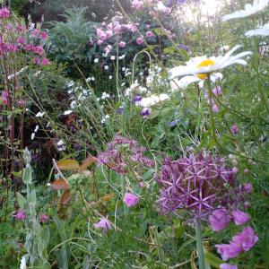 Giardino di Beautiful Tiny House
