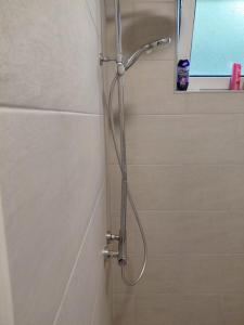 a shower with a shower head in a bathroom at Eco-Apartment Ostros Skutarisee in Ćurjan