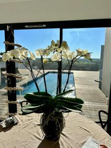 Πισίνα στο ή κοντά στο Architect designed house with view +2 φωτογραφίες
