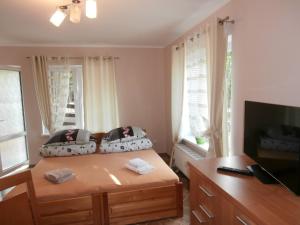 a bedroom with a bed with a desk and a television at Pokoje Gościnne - Noclegi Charzykowy in Charzykowy
