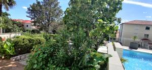 a large plant next to a swimming pool at APP Tilia in Crikvenica